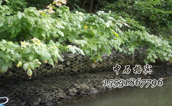 格賓網(wǎng)護岸